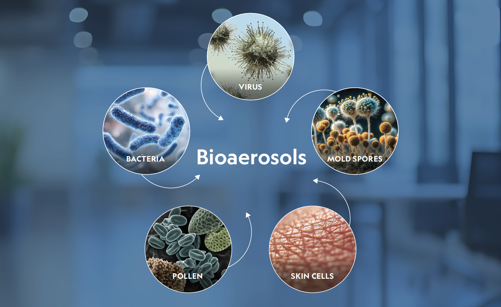 Types of Bioaerosols Types of Bioaerosols