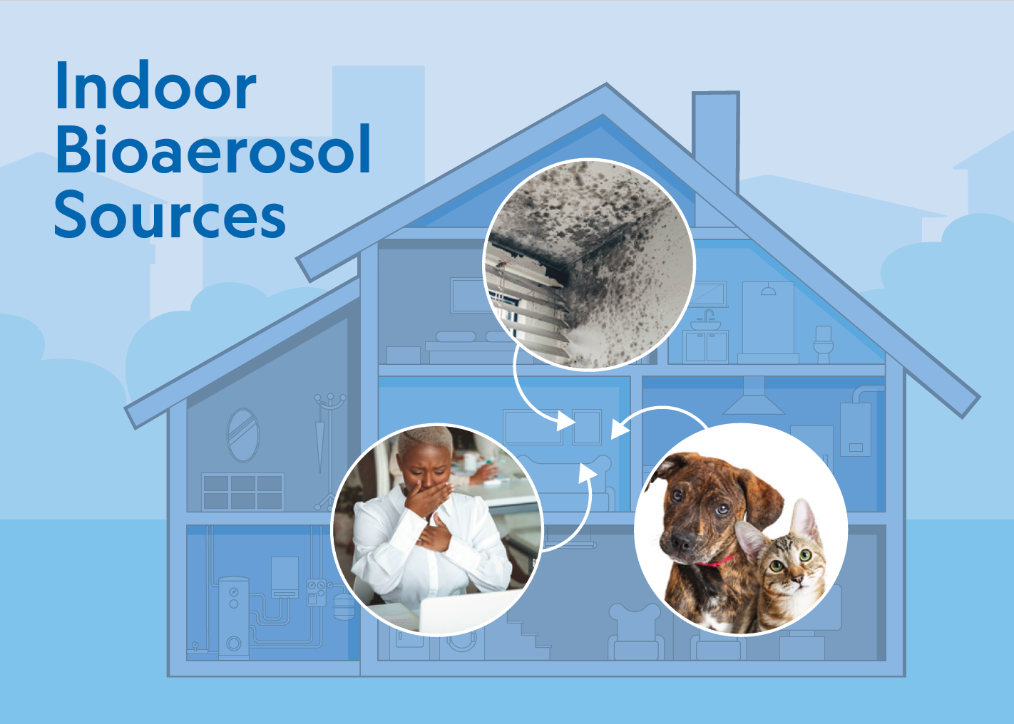 Indoor Bioaerosol Sources Indoor Bioaerosol Sources