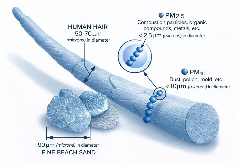 Examples of different particle sizes