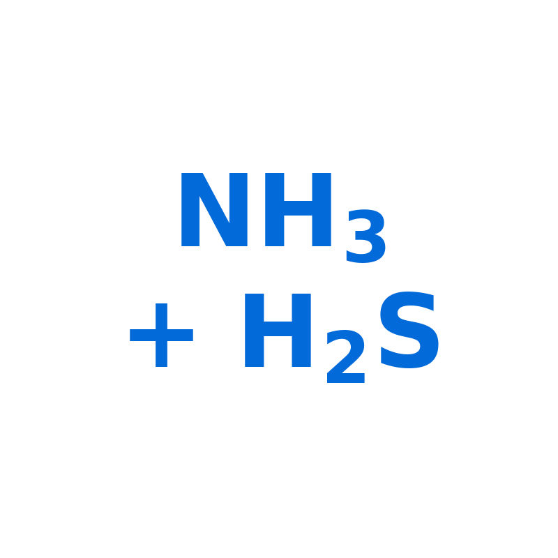Ammonia plus Hydrogen Sulphide