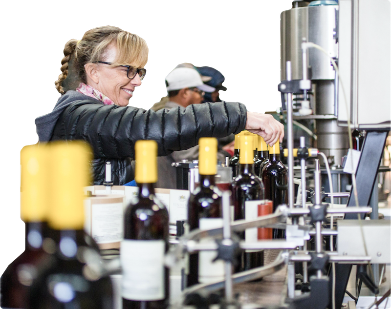 Production Line