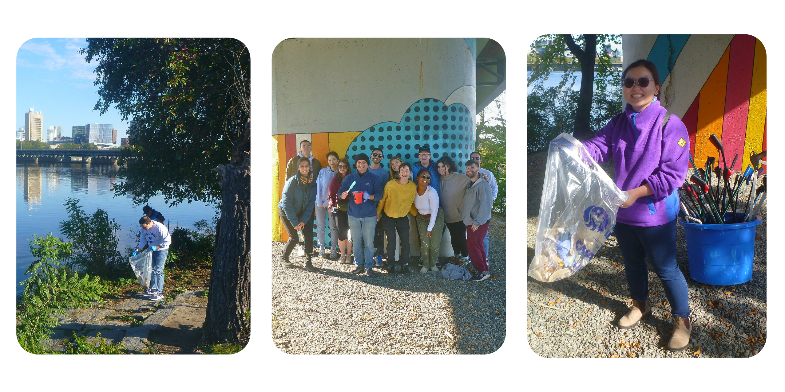 Ampion volunteers