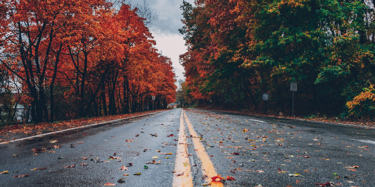 Fall Sustainability Tips
