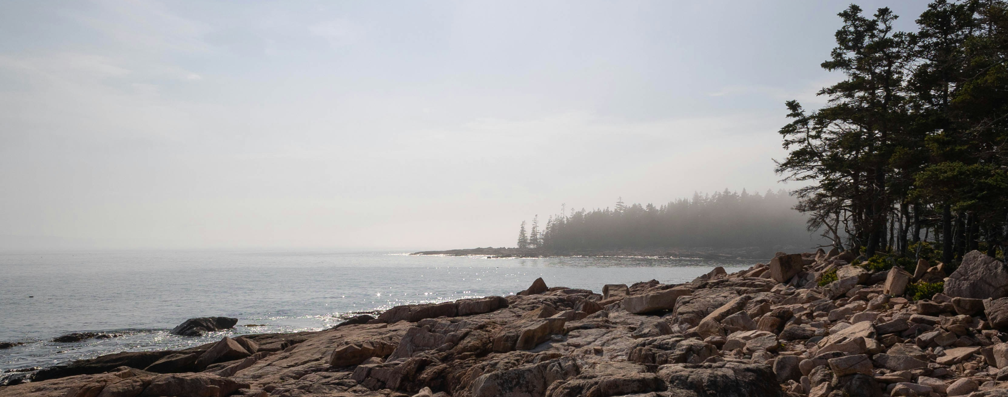 Maine's Energy Future