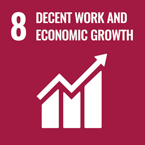 SDG 8 SDG 8