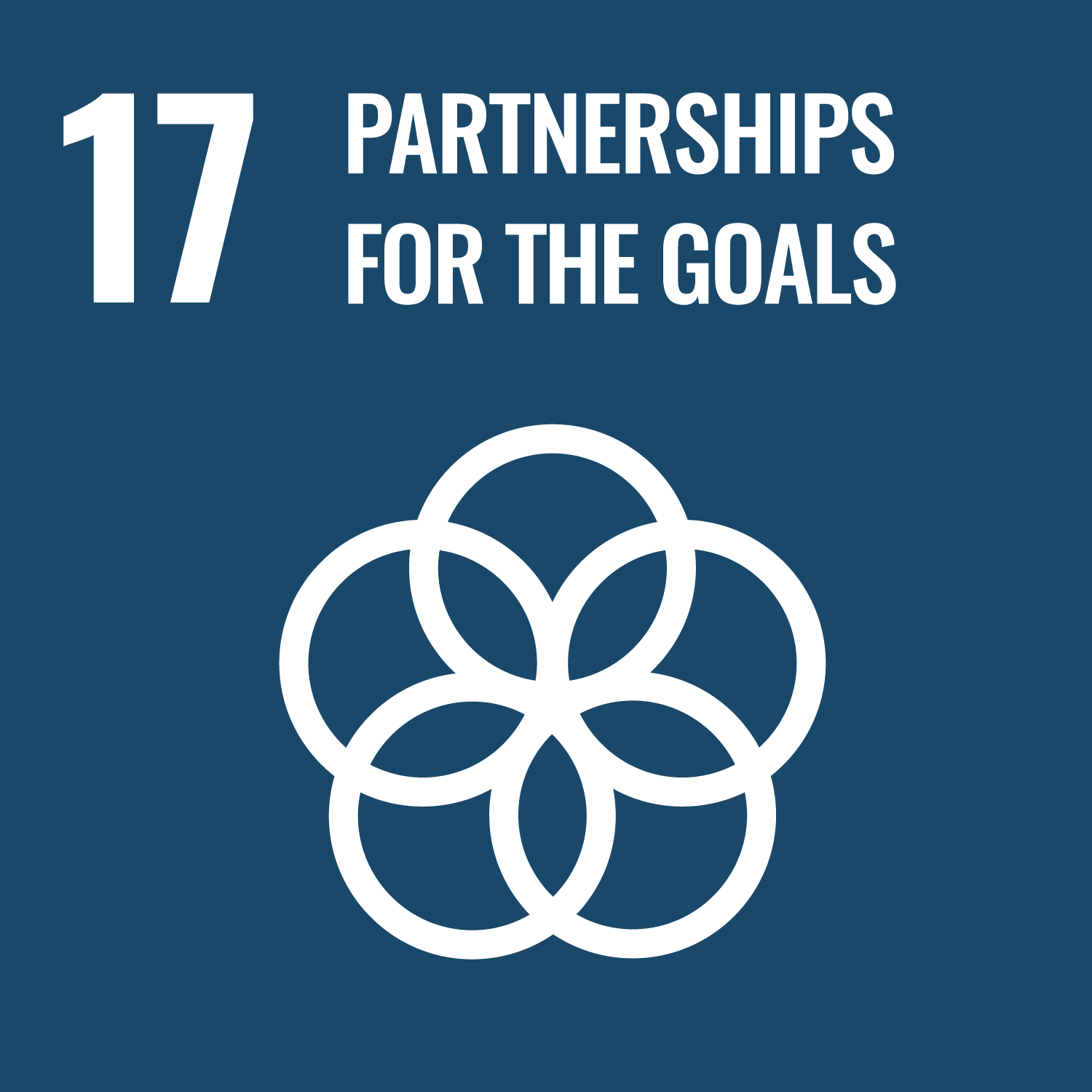 partnerships for goals