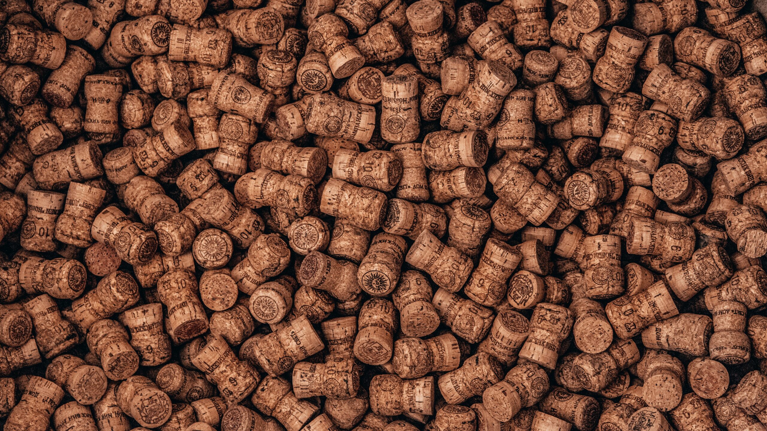 Benefits and uses of Cork • Life Terra
