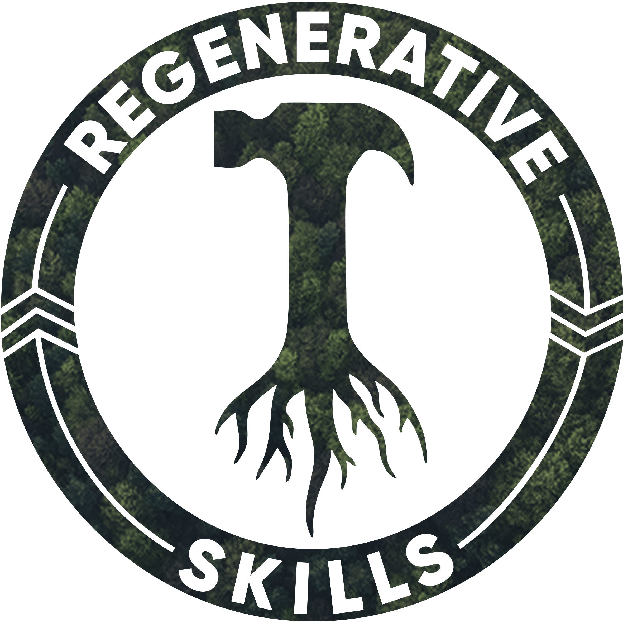 REGENERATIVE 