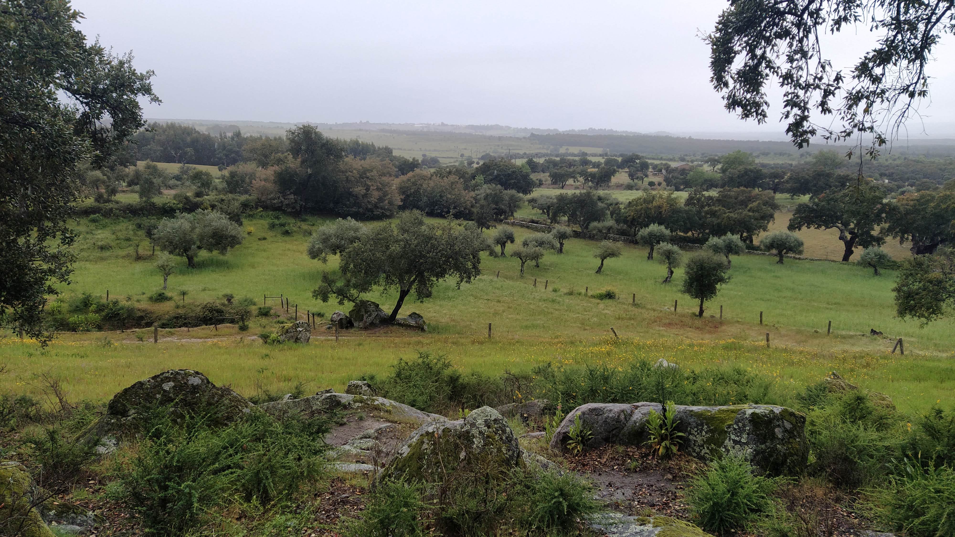 Landscouting in Portugal! • Life Terra