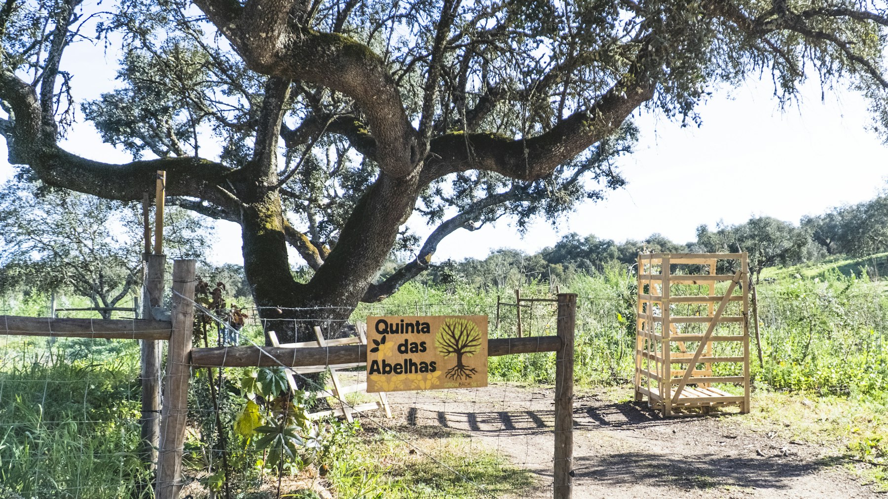 Syntropische Landwirtschaft in Portugal • Life Terra
