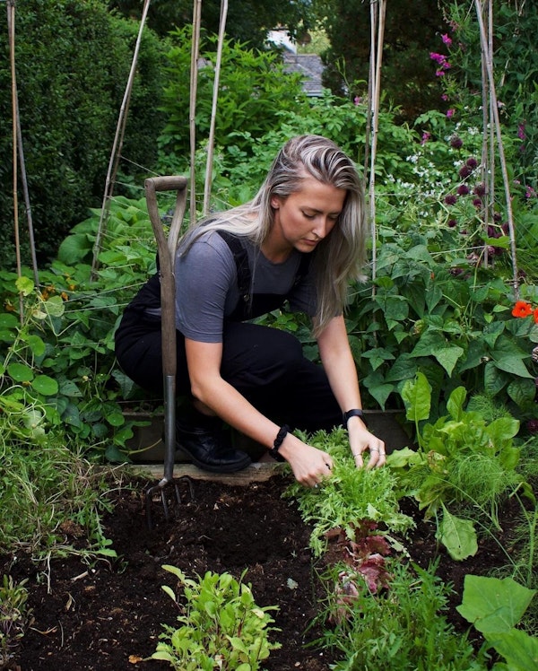 AIRBNB FOR GARDENS CONNECTS GROWERS WITH PLACE • Life Terra