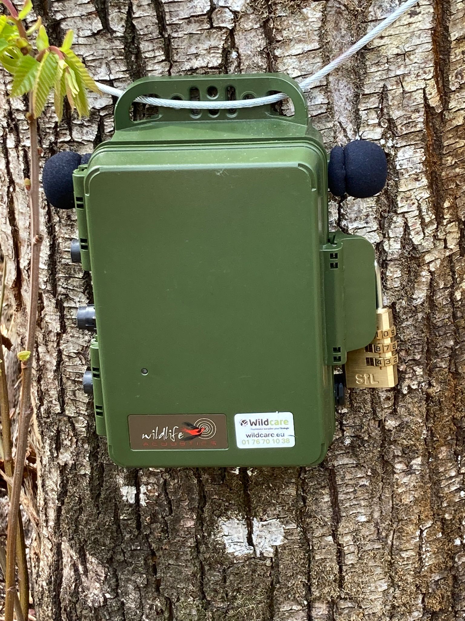 Wildlife microphone