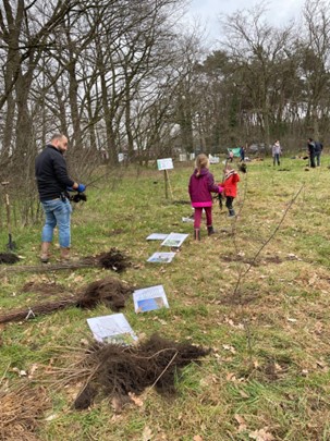 Volunteer planting at the Vliertwijksestraat, February 11 '23