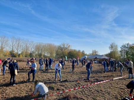 Avans Alumni planting at the Ertveldpolder, November 12 '22
