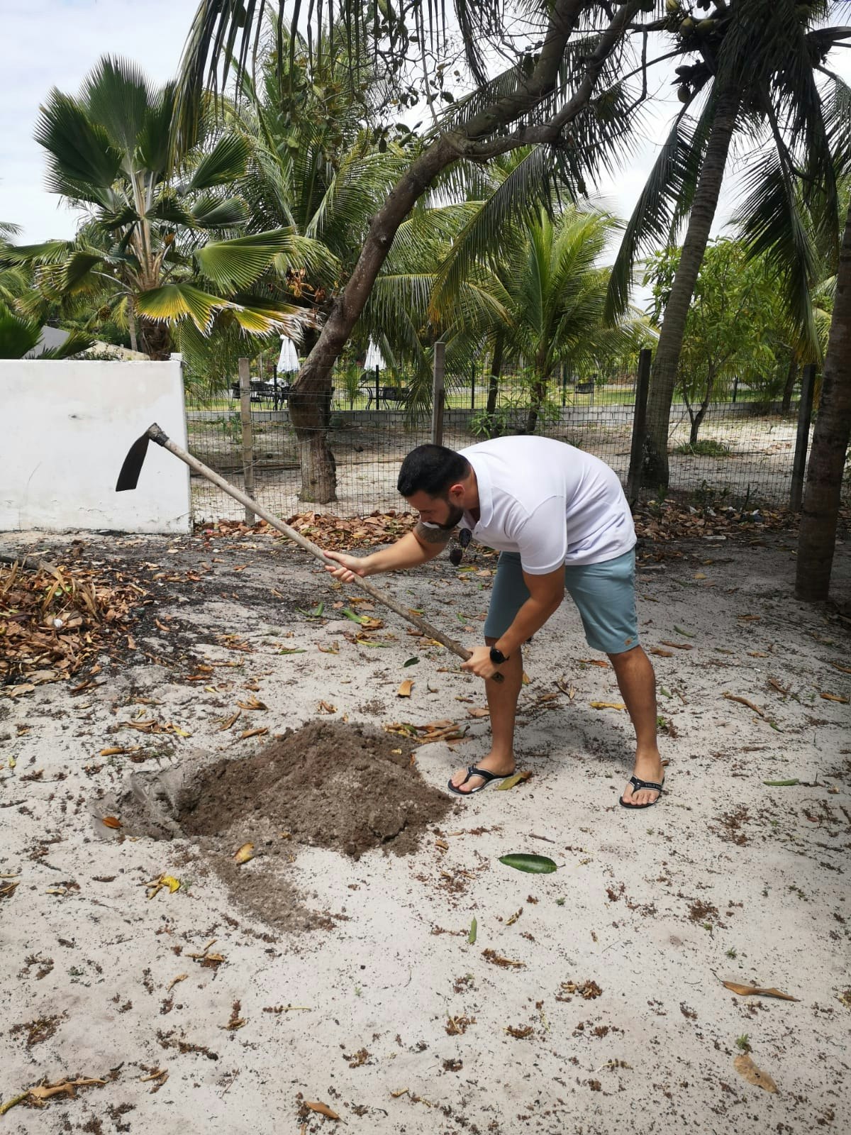 1st tree planted in Brazil • Life Terra
