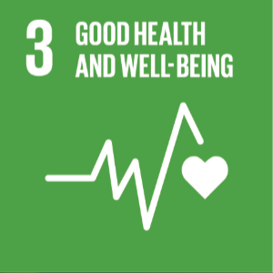 SDG 3 SDG 3