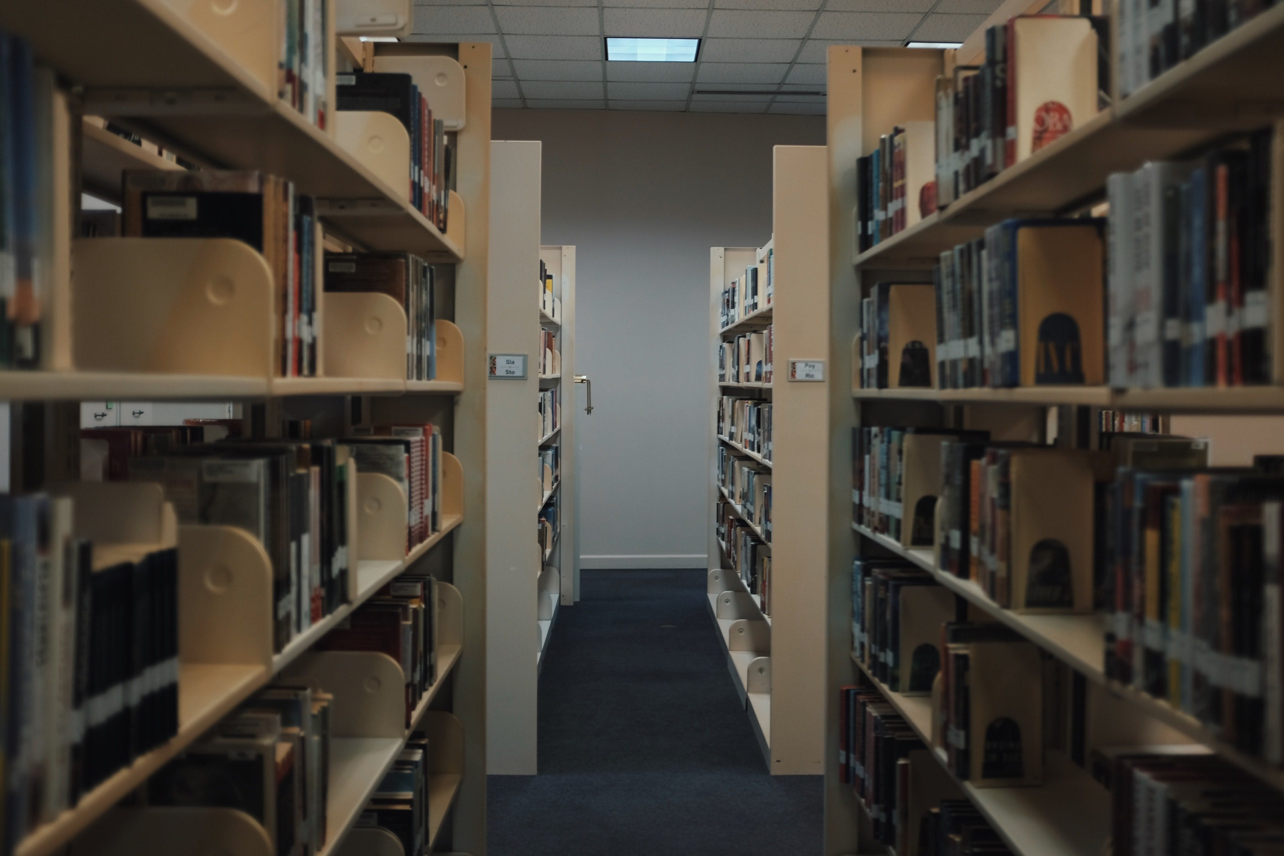 16 libraries. Склад в библиотеке. Сортировка книг в библиотеке. Ряды книжных полок в библиотеку. Дерево с полками в библиотеку городскую.