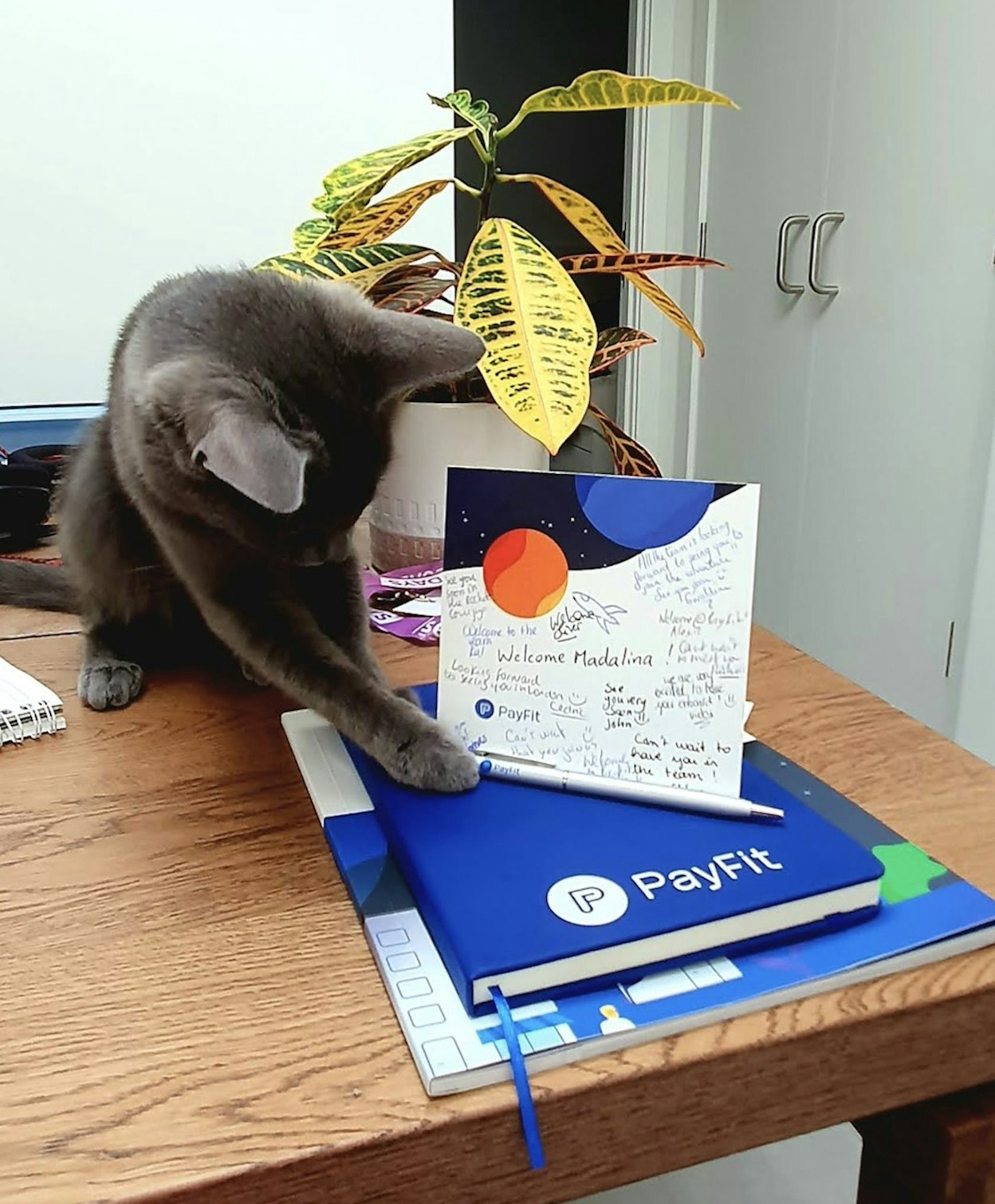 PayFit's welcome pack