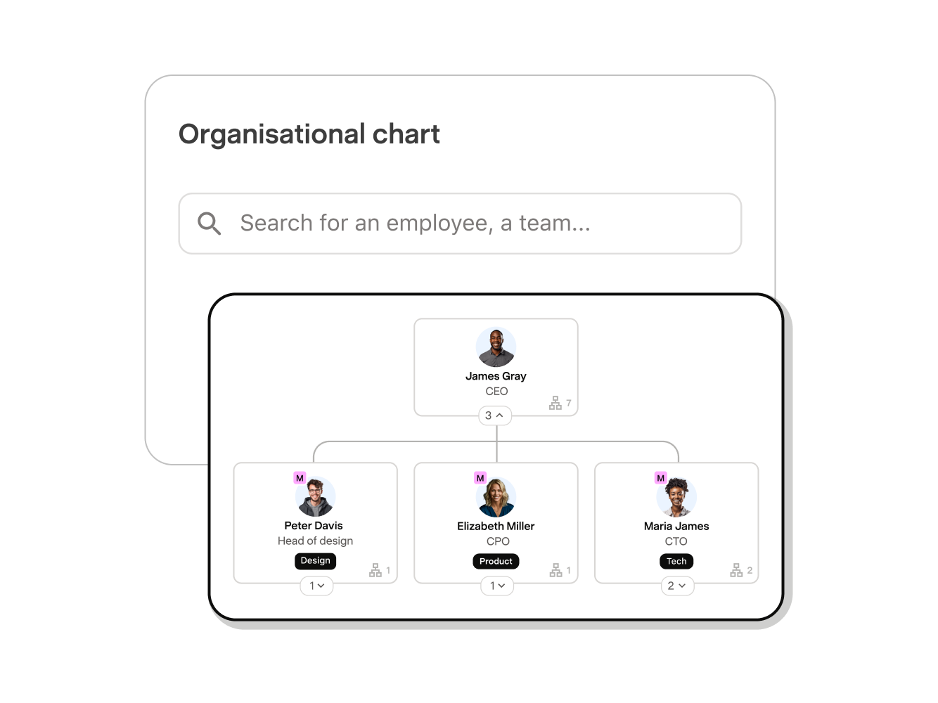 Organisational chart in Payfit