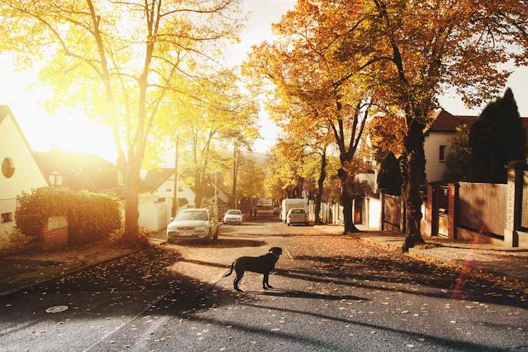CIA Landlord Insurance