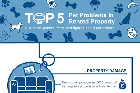 Top 5 Pet Problems in Rented Property Infographic
