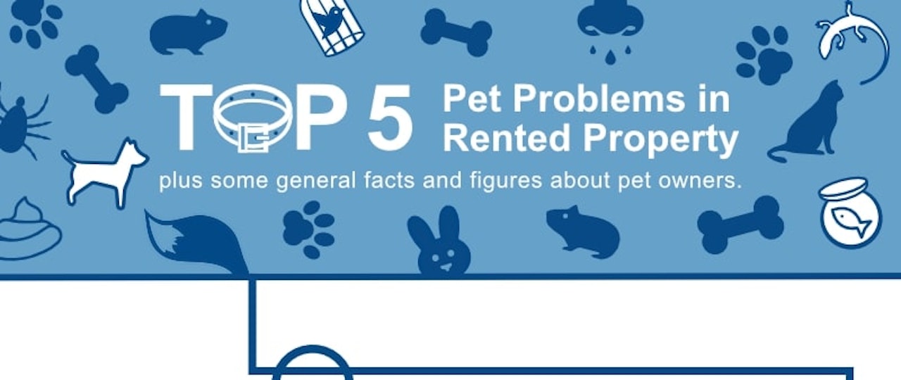 Top 5 Pet Problems in Rented Property Infographic