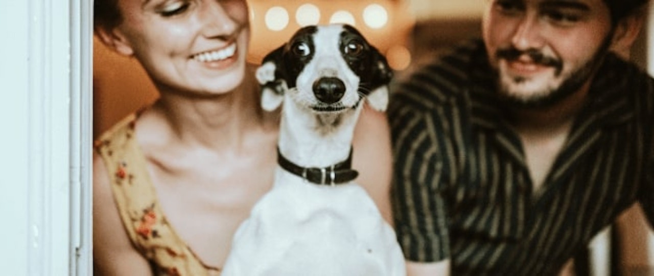 Pet Fouling and Odours in Rented Property