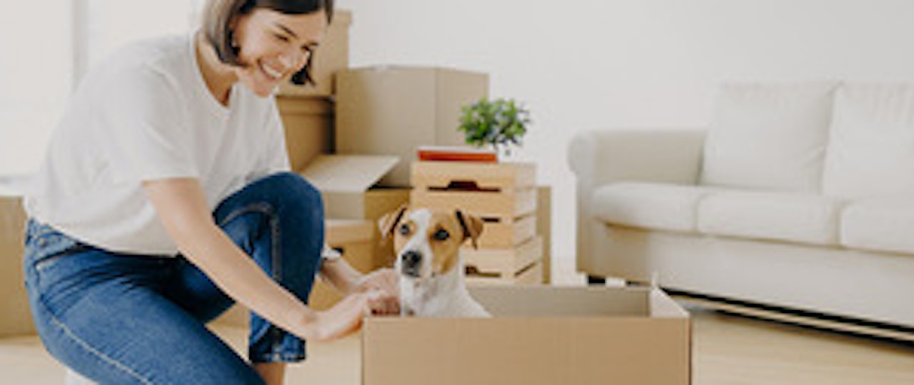 Tips for letting to pet owners
