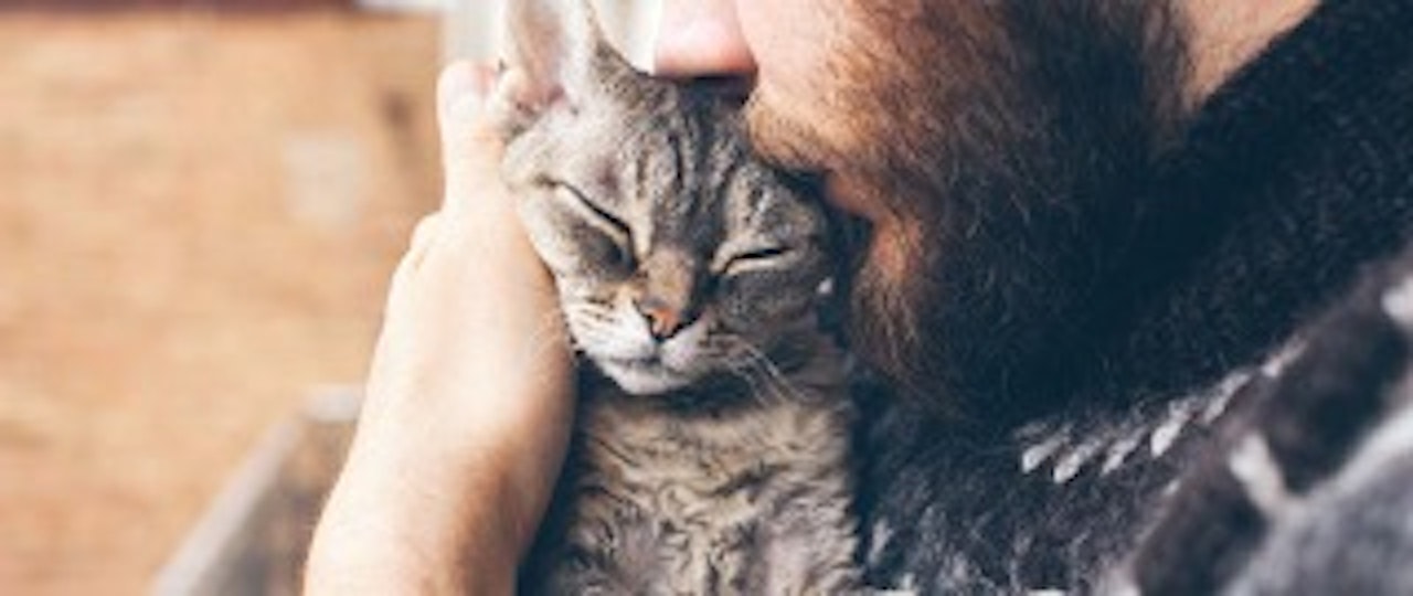 The most popular types of pets in rented property