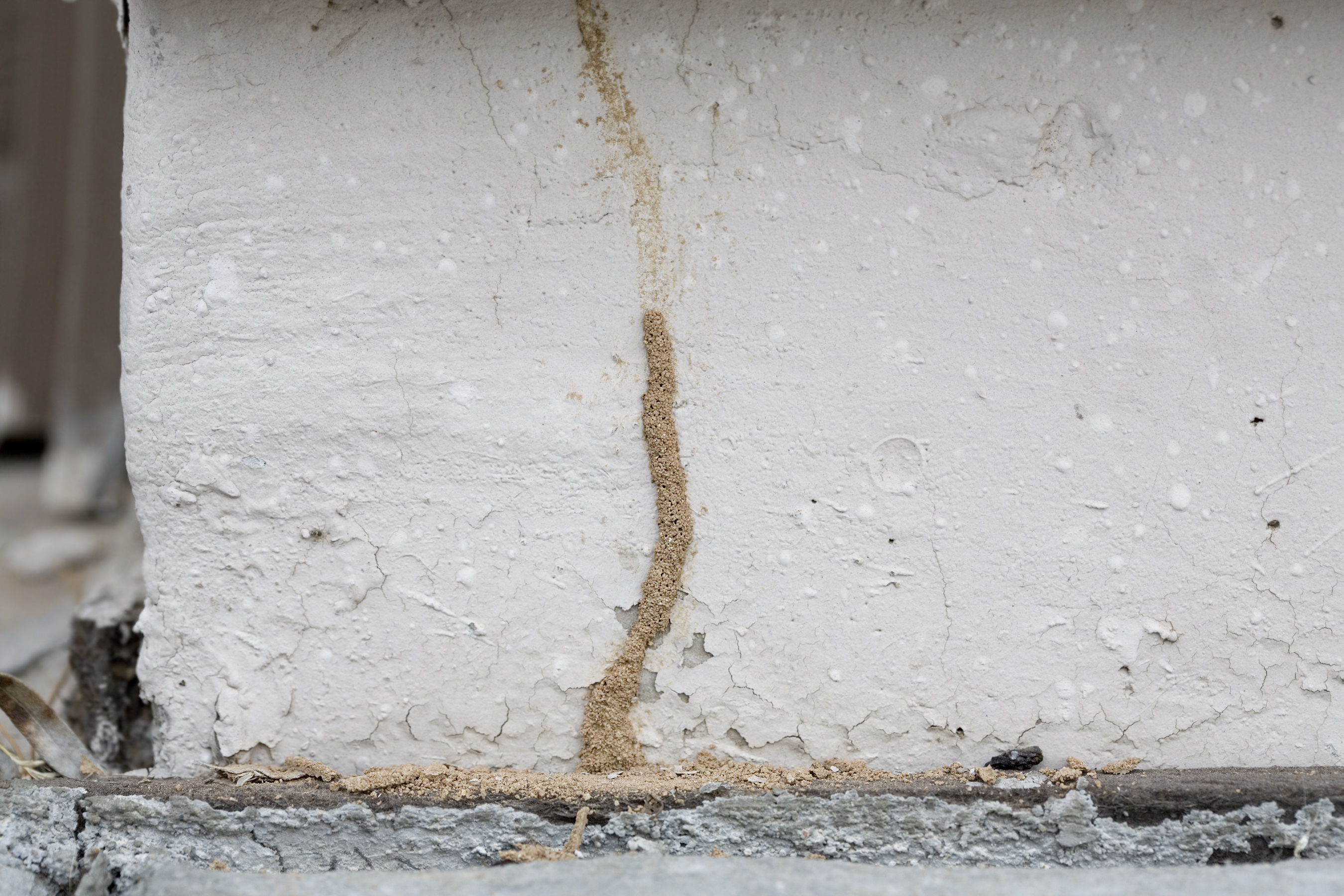 Signs of structural damage to a house | CIA Landlords