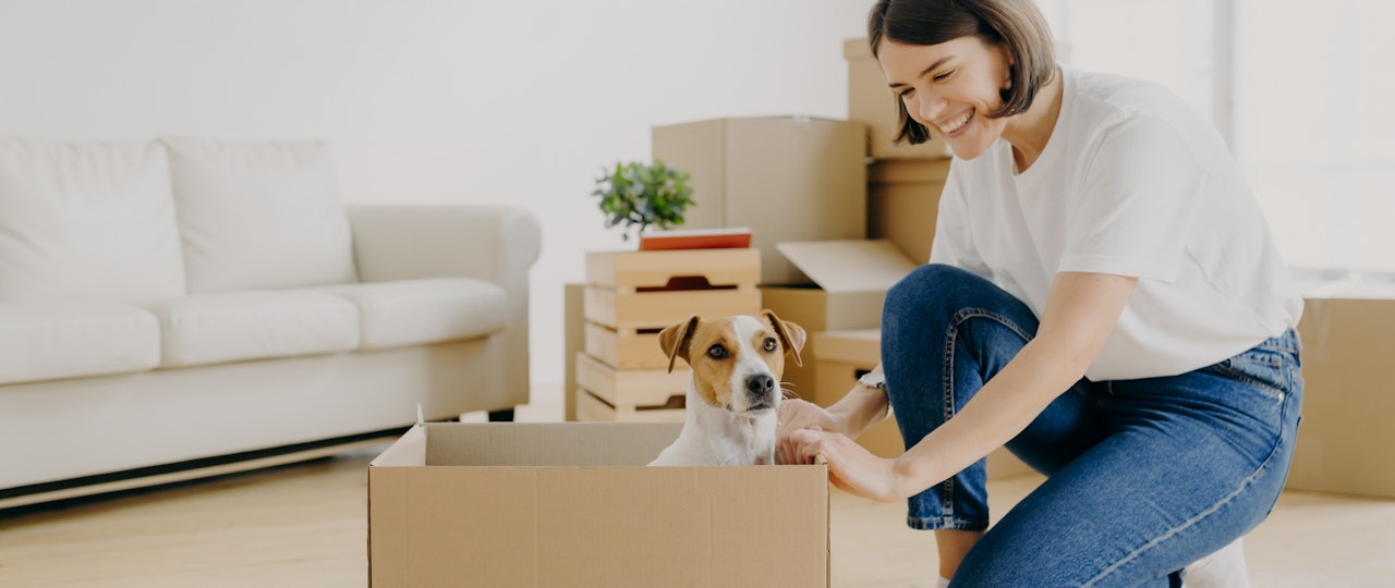 Tips for letting to pet owners