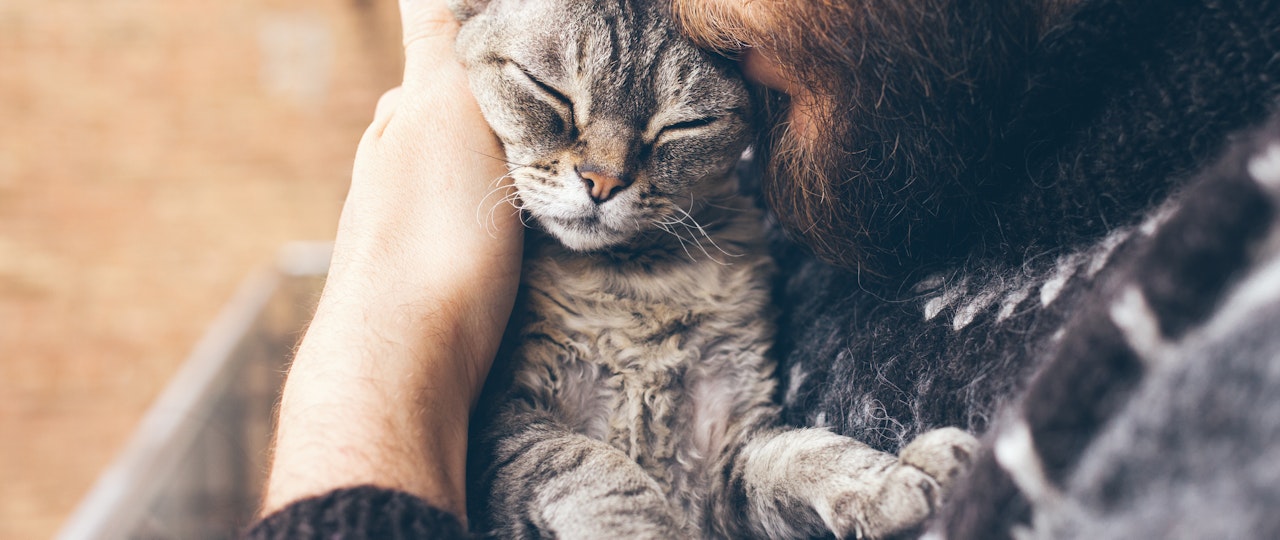 The most popular types of pets in rented property