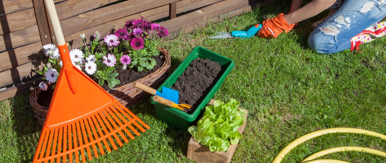 Are landlords responsible for garden maintenance?