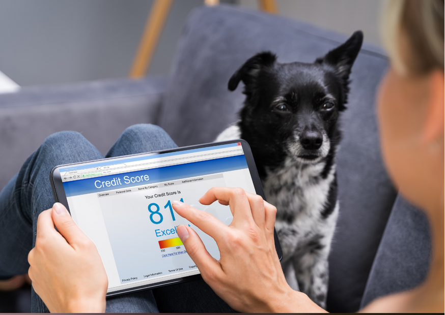 what-is-a-tenant-credit-check-cia-landlords-insurance