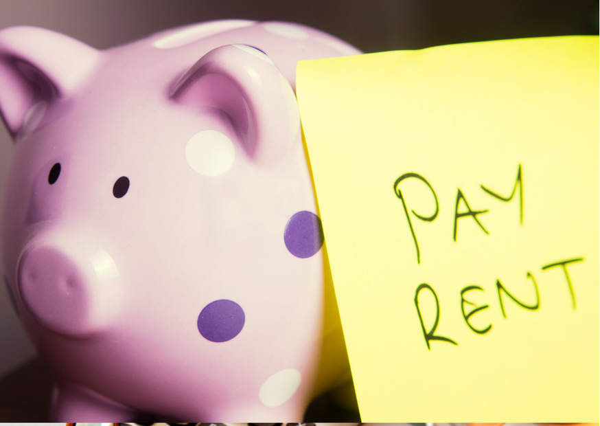 How much does a tenant credit check cost? CIA Landlords Insurance