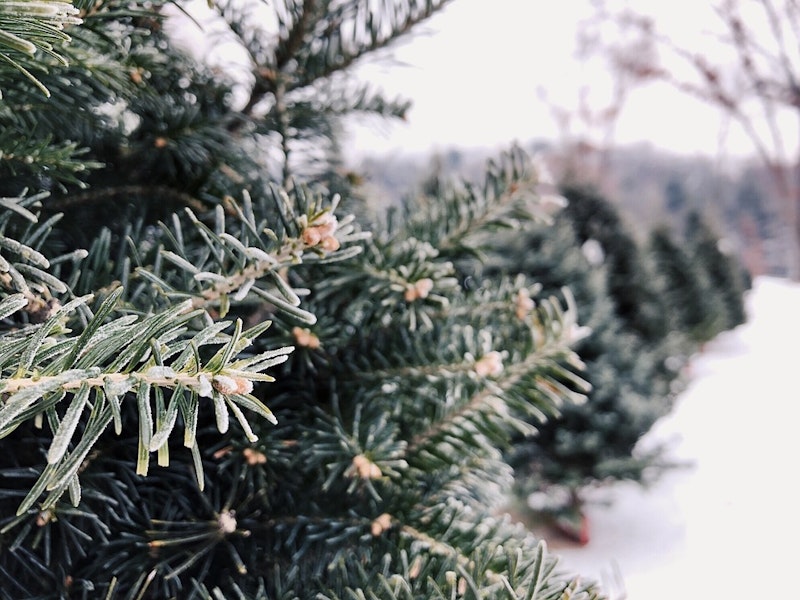 15 tips om energie te besparen tijdens kerst