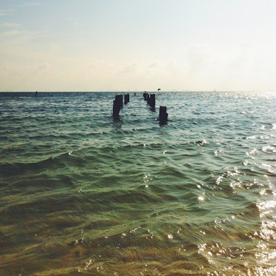 image-19