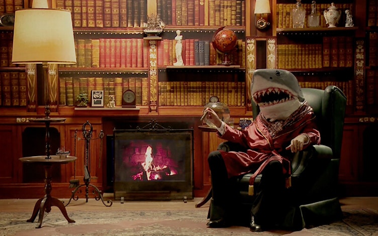 Shark, the Assassin Critic