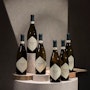 https://www.datocms-assets.com/50627/1656690785-1_vermentino2.jpeg?auto=format&h=90