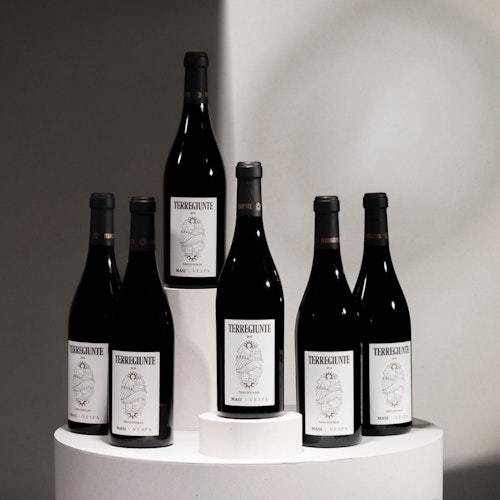 TERREGIUNTE | Vino d'Italia| 6 BOTTLES BOX 