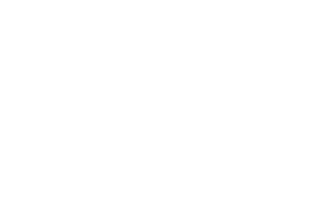 The American Society for Aesthetic Plastic Surgery