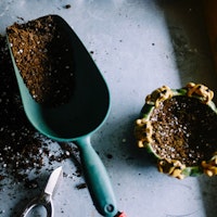 1531145024 manutenzione