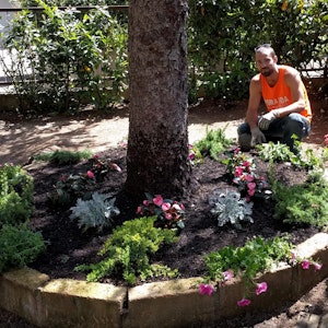 1536254938 danielepaolini