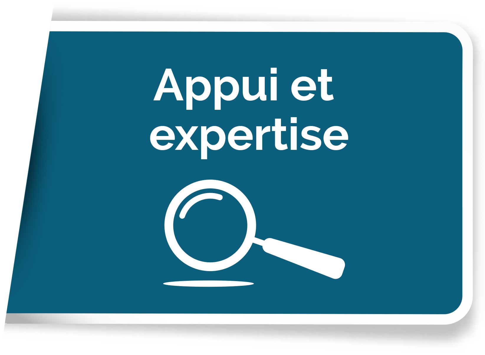 appui et expertise