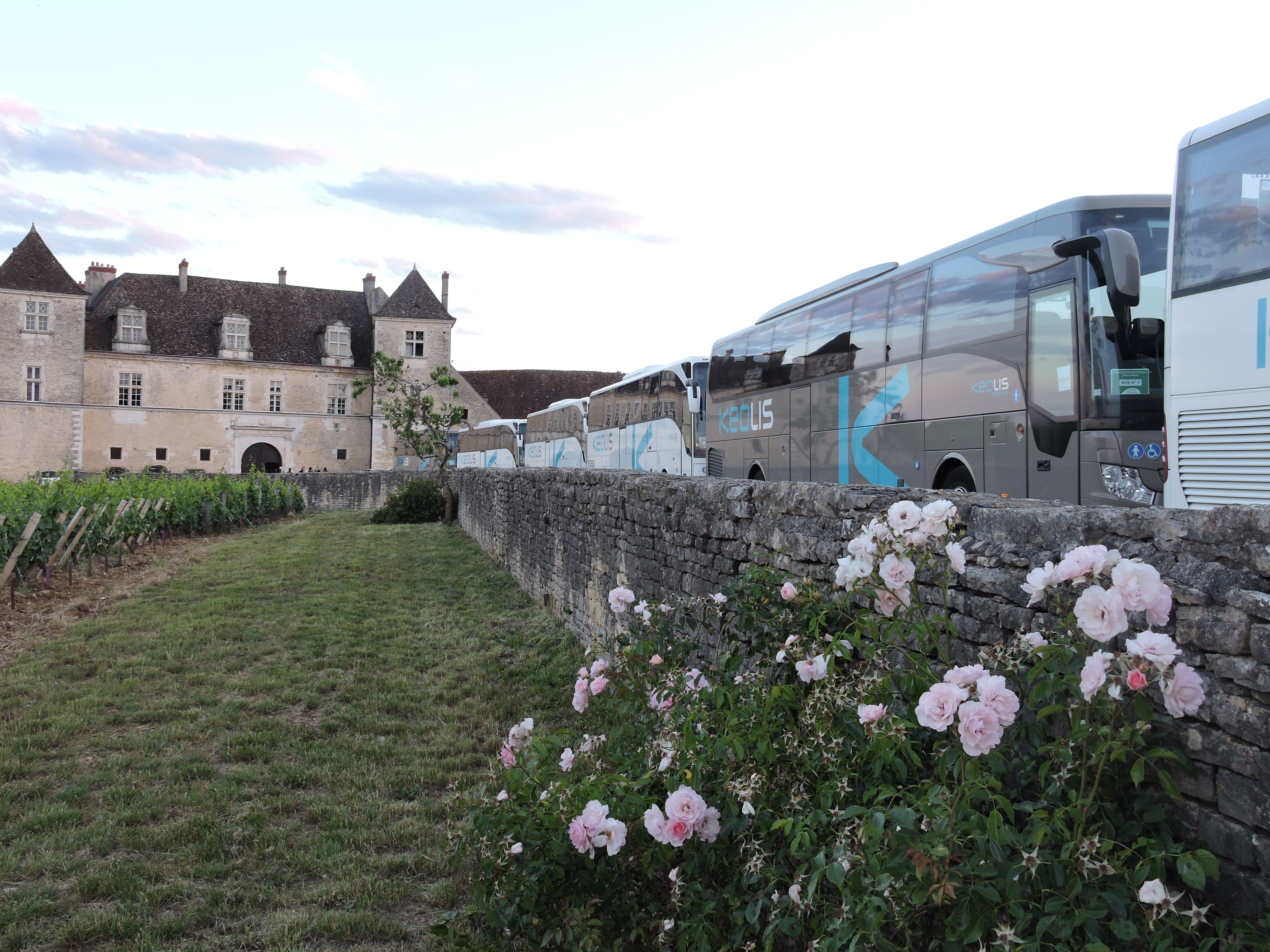 autocars de tourisme au Clos Vougeot