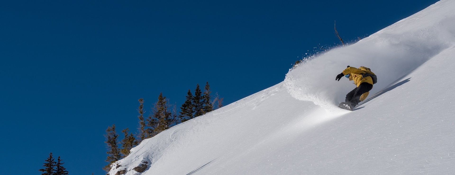 Ian Walsh shredding powder