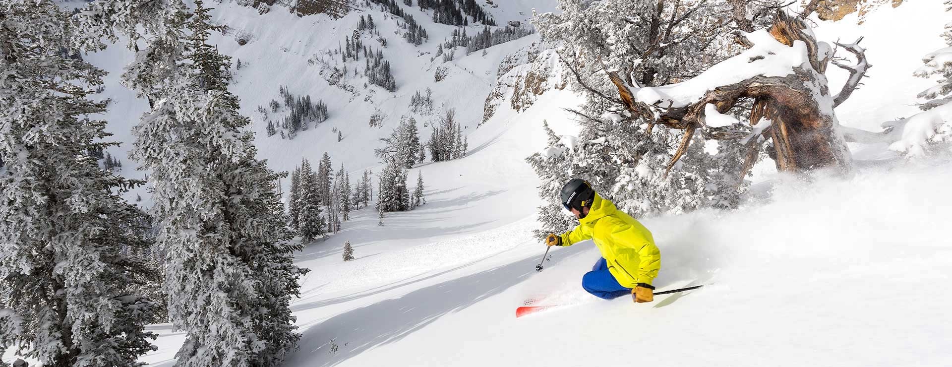 Forrest Jillson Skiing