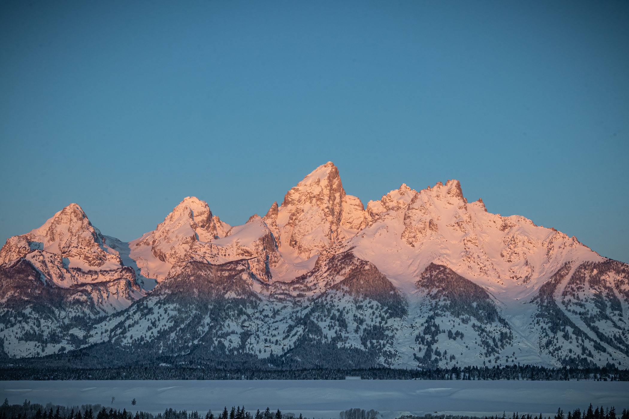 Хол гора. Grand Teton National Park.