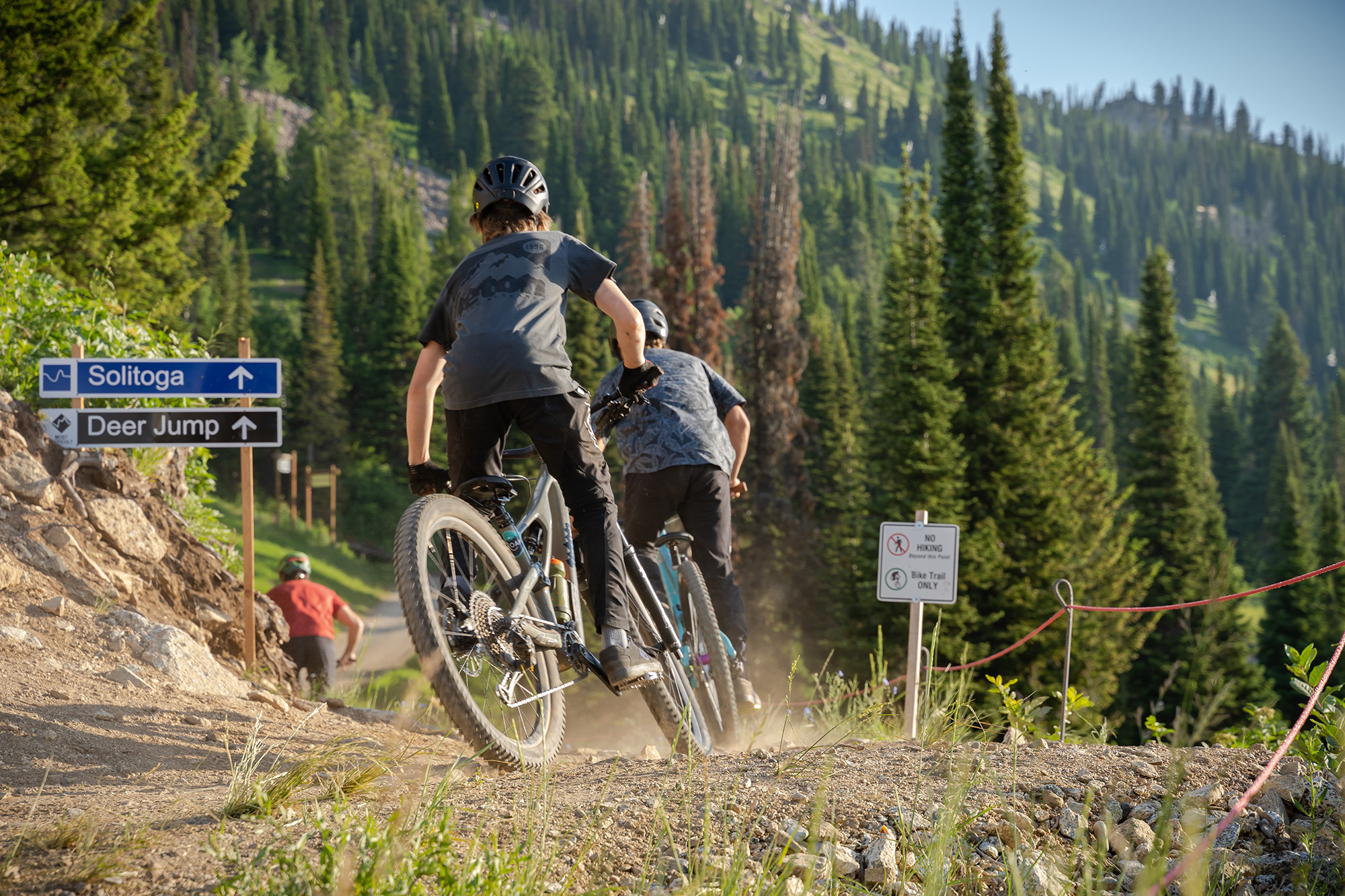 Jackson Hole Bike Park Jackson Hole Mountain Resort