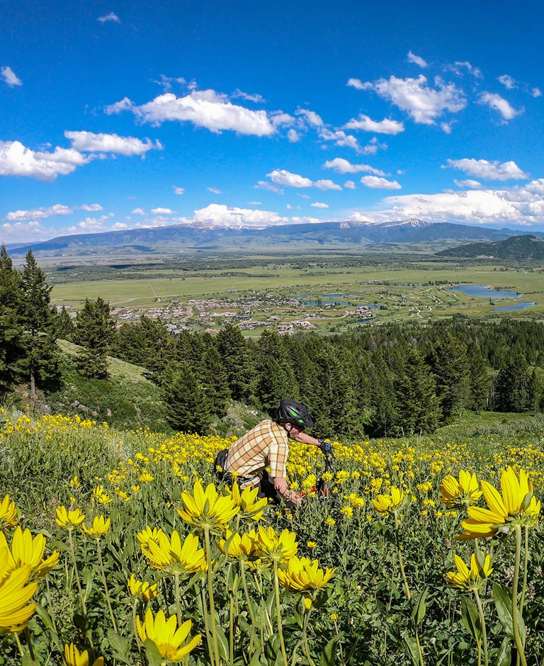 Hoback Biking Adventure